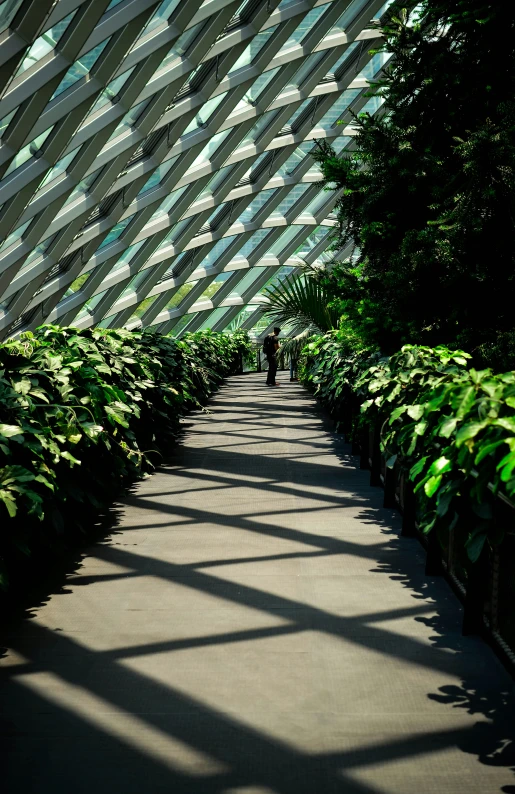 a walkway that leads to another way with greenery