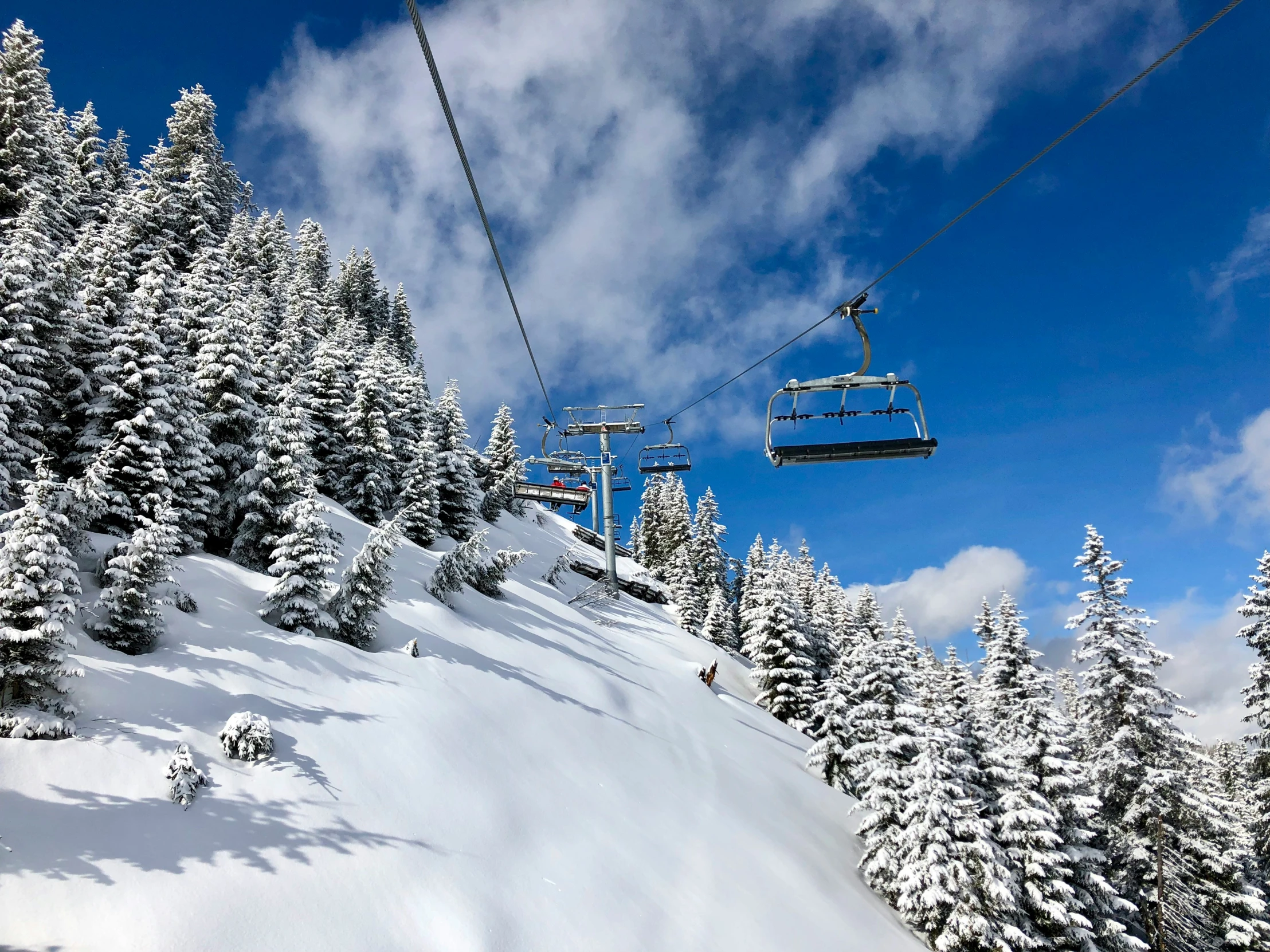 a ski lift and skis going over trees on a snowy mountain