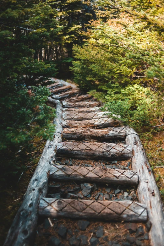 the wooden staircase in the woods is made from logs