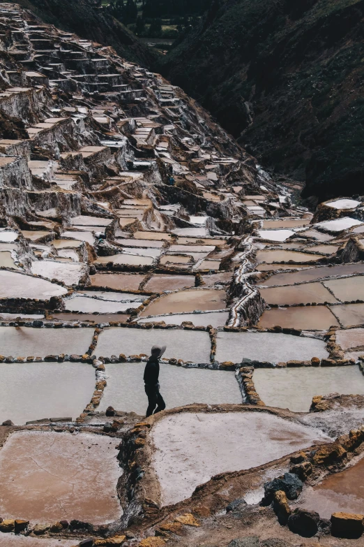 many terraces covered in stone and green plants