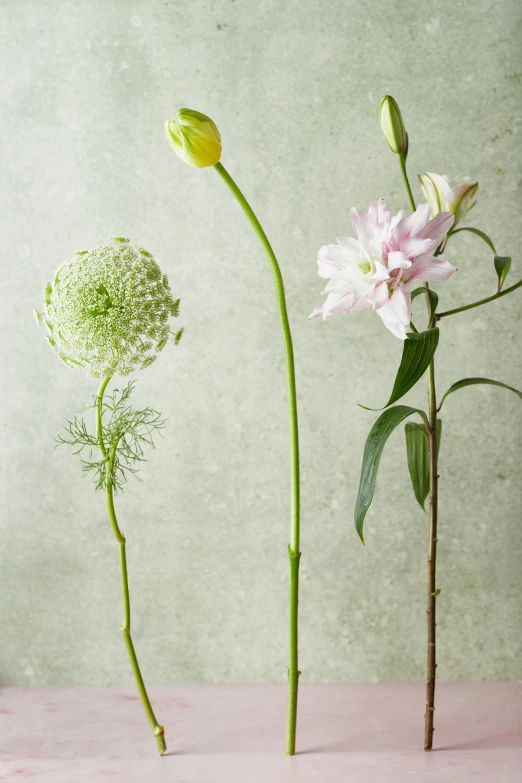 a few flowers in a vase on a table