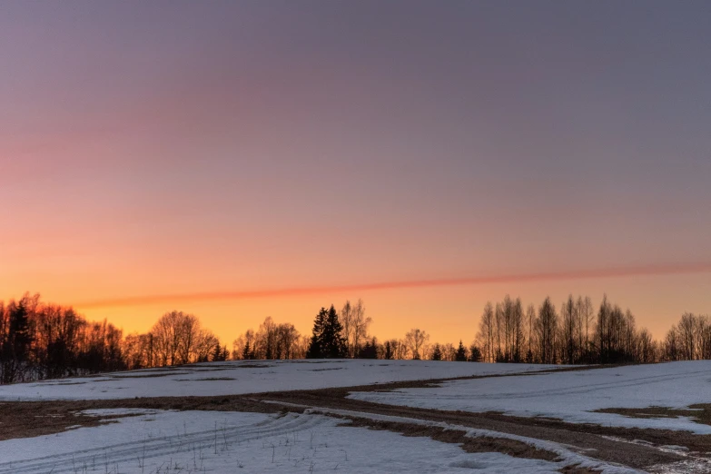 a snowy road passes by trees and a sunset