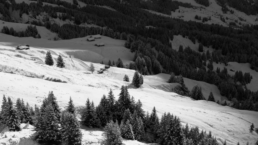 an image of a snowy mountain scene with trees