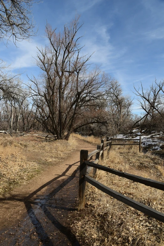 a dirt path runs through a field near a fence