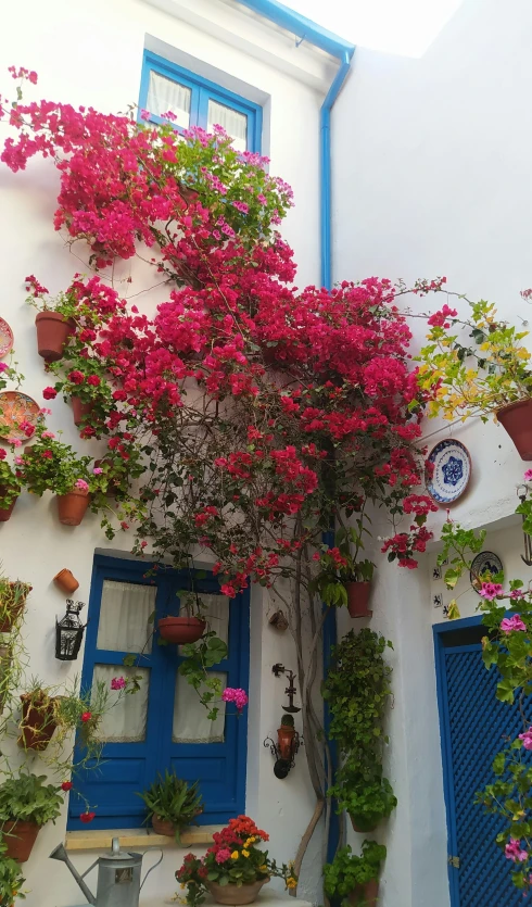 an old building with flowers on the windows