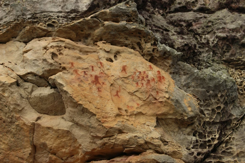 rock paintings depicting animals and birds on a rocky surface