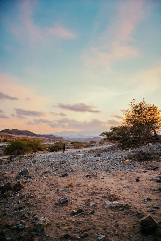 a lone person stands in the distance near a small tree