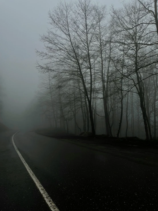 a foggy road that has several trees on both sides of it