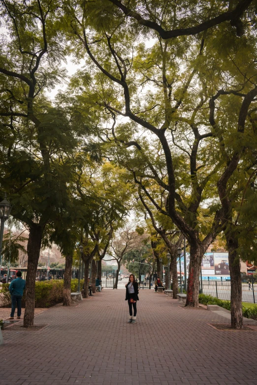 a woman walking down a brick sidewalk near many trees