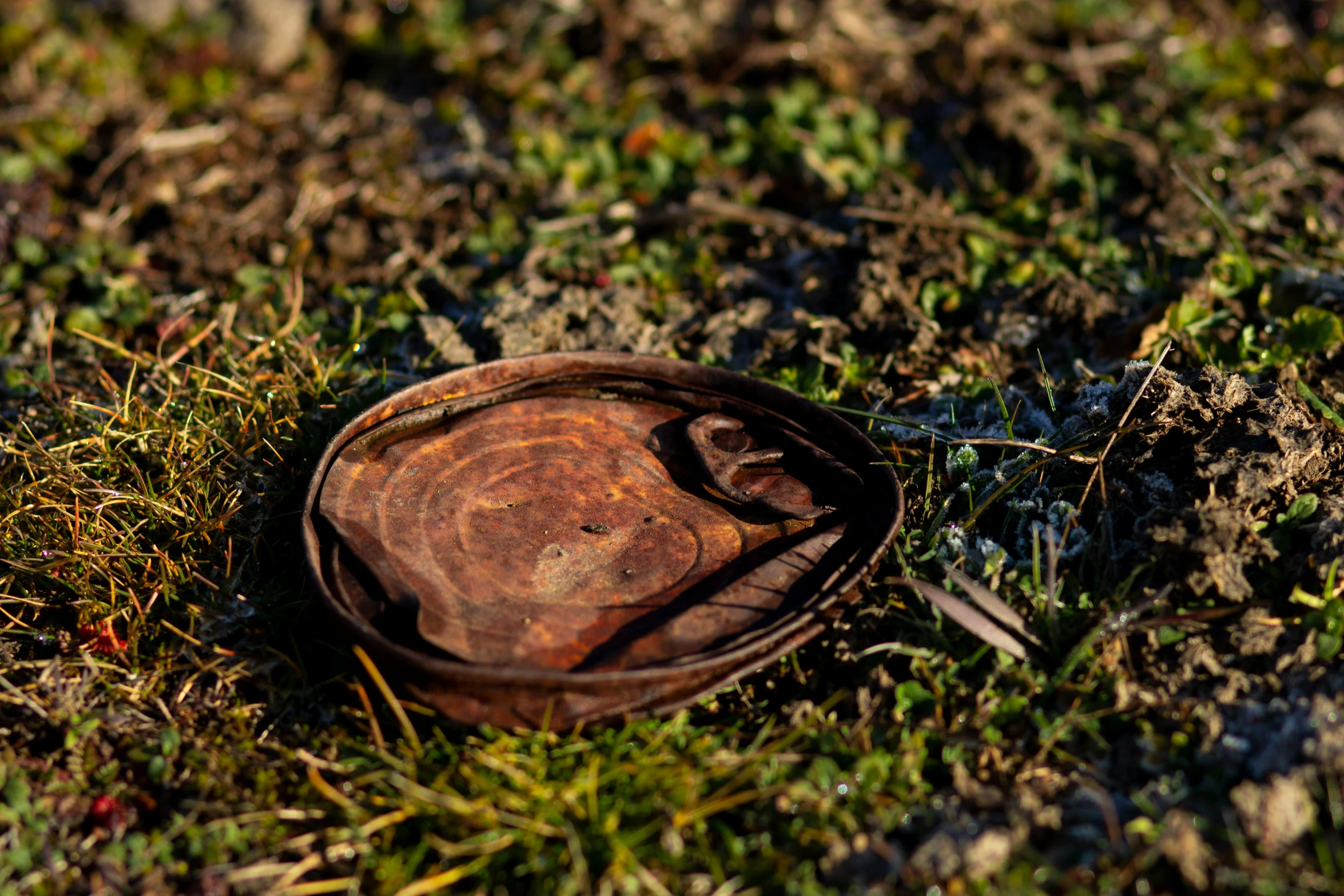 an abandoned bowl is on the ground in the grass