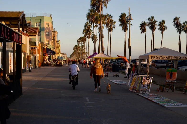 people are riding bicycles on the street near palm trees