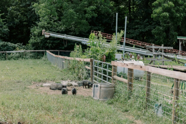 an open fenced in animal sanctuary near some trees