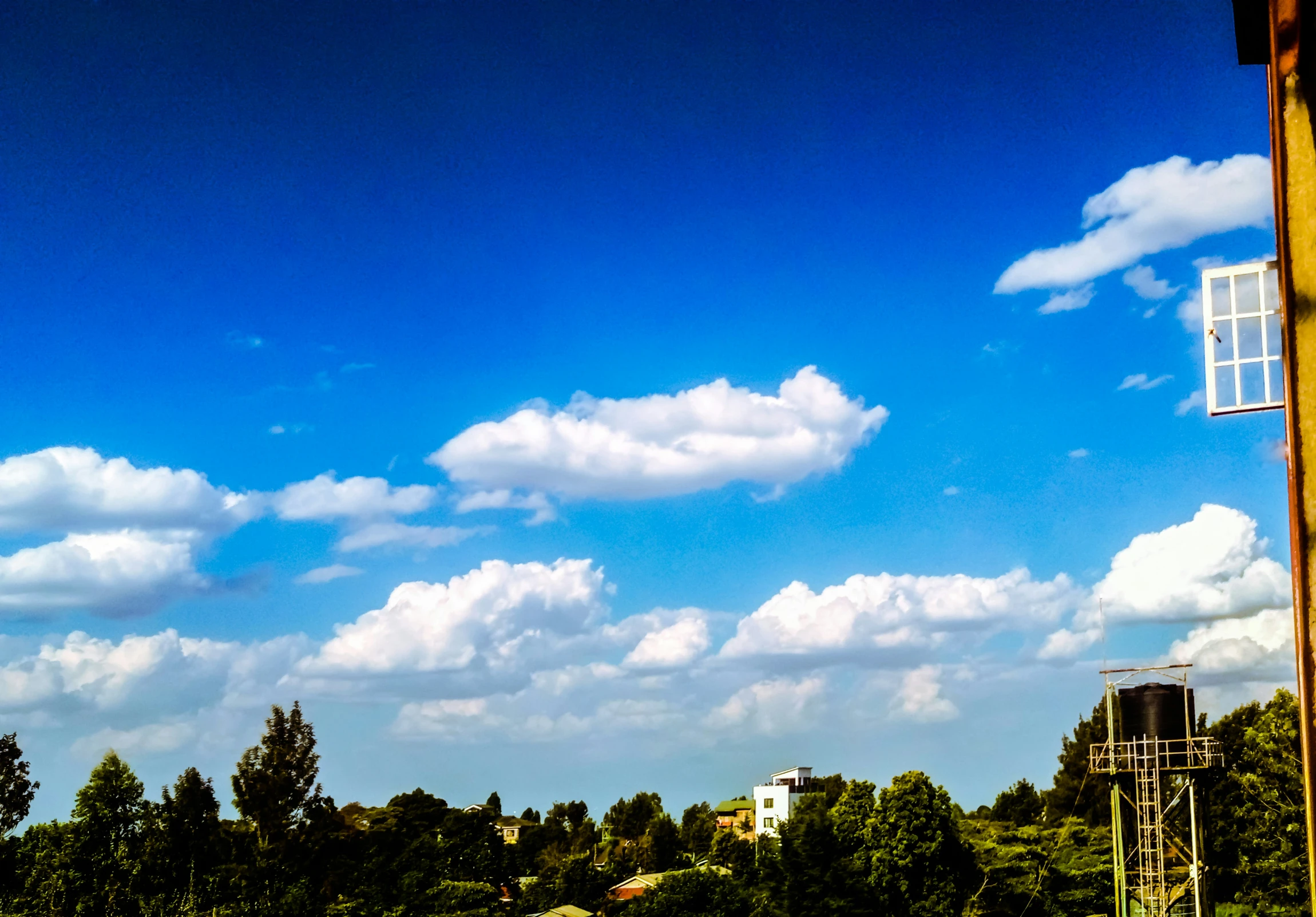 a park and trees on a bright sunny day