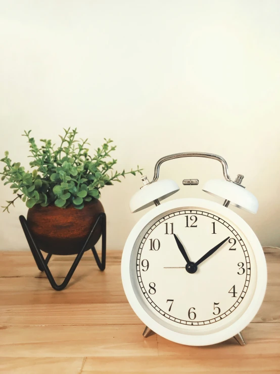 the small potted plant is next to a white alarm clock