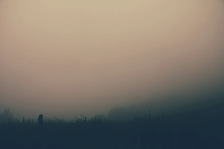 a lone person is in the middle of an old landscape