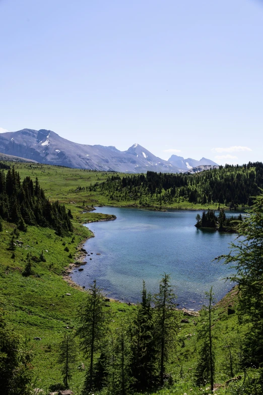 a placid pond surrounded by evergreens and mountains