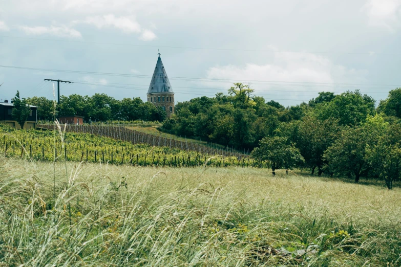 a large grassy field near a rural church