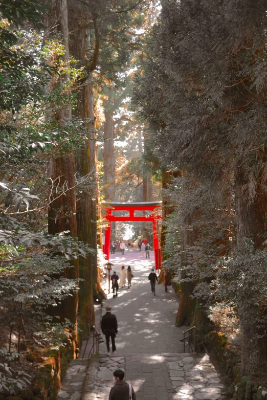 people walk through the trees in a park with an arch