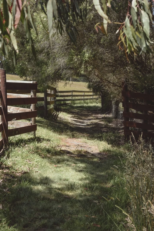 a wooden fence in a field with some trees