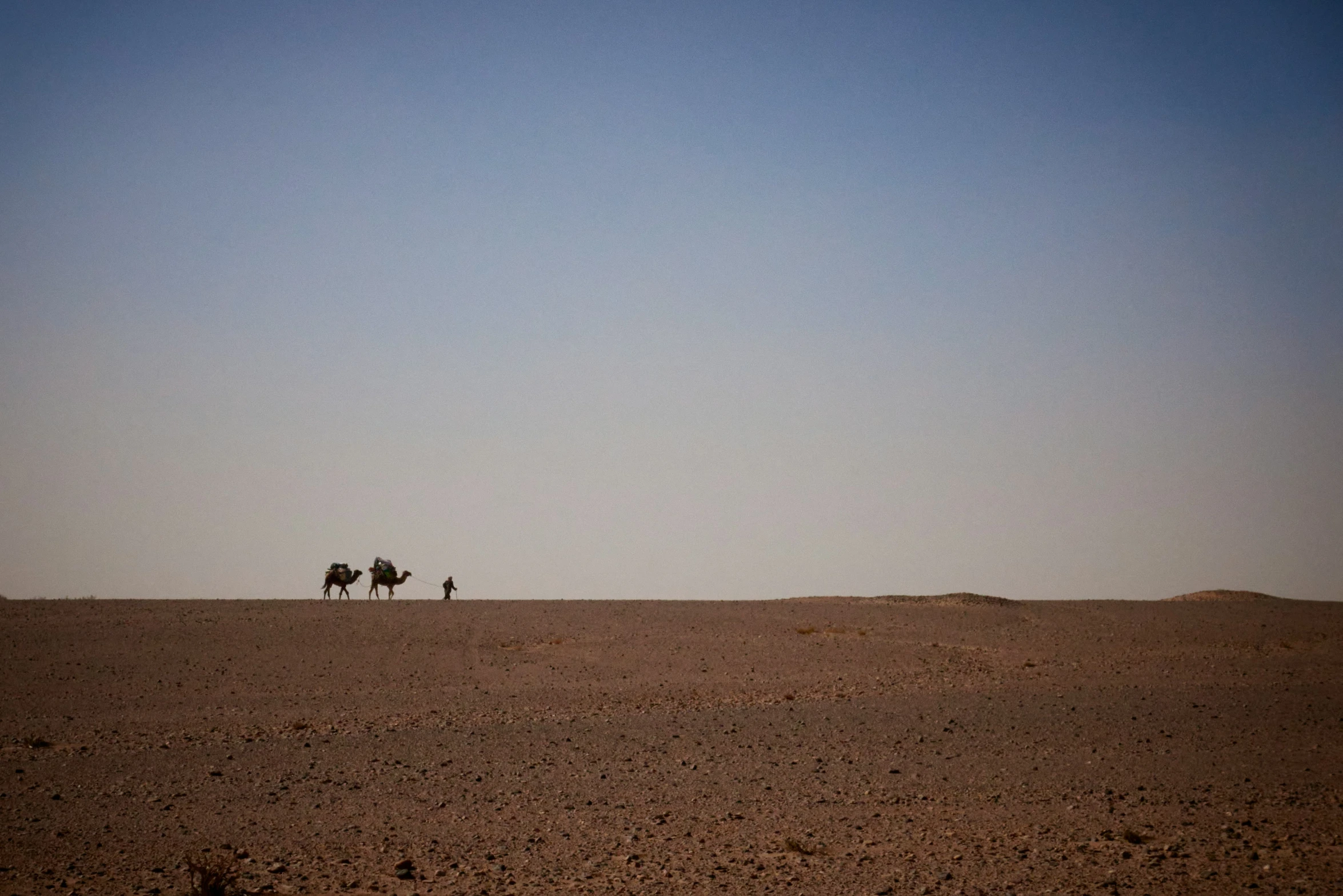 two people riding a camel in the desert