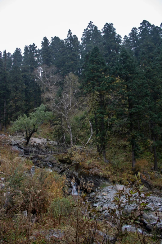 a man standing on top of a rocky hillside