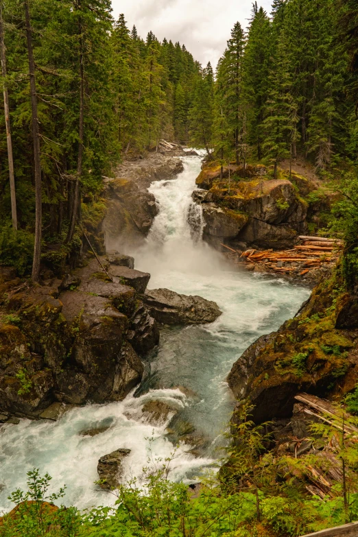 a waterfall surrounded by trees and water on top of a hill