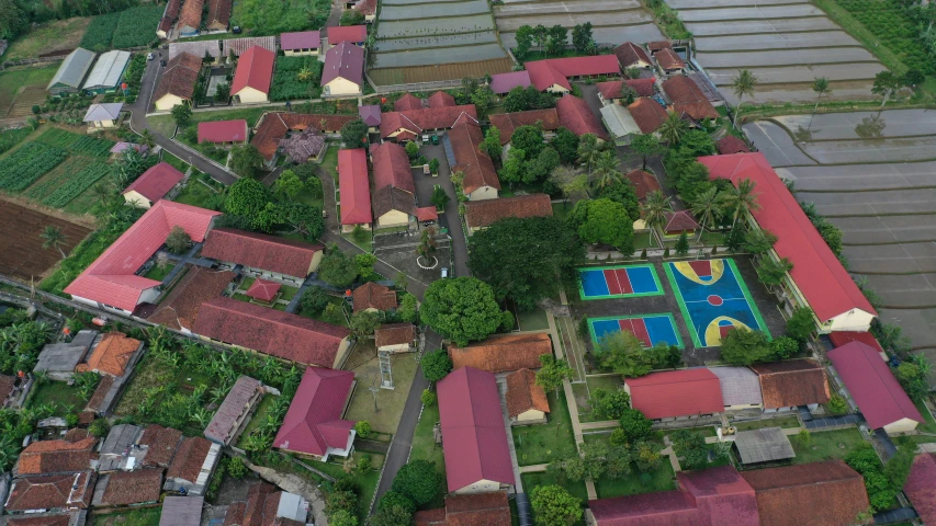 aerial view of a village with lots of trees