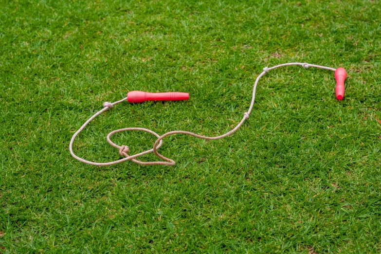 a red string and two red headset lie on a lawn