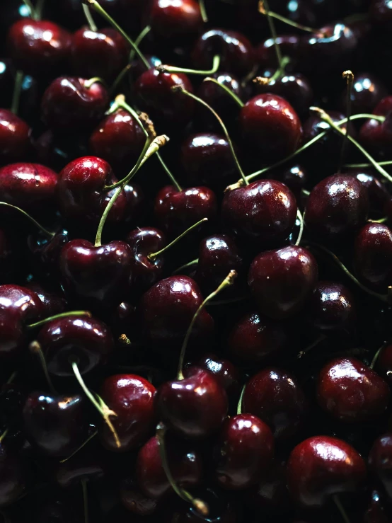 bunches of cherries sitting side by side