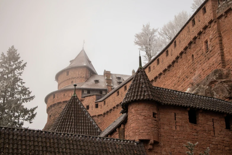 a castle that is next to a tree