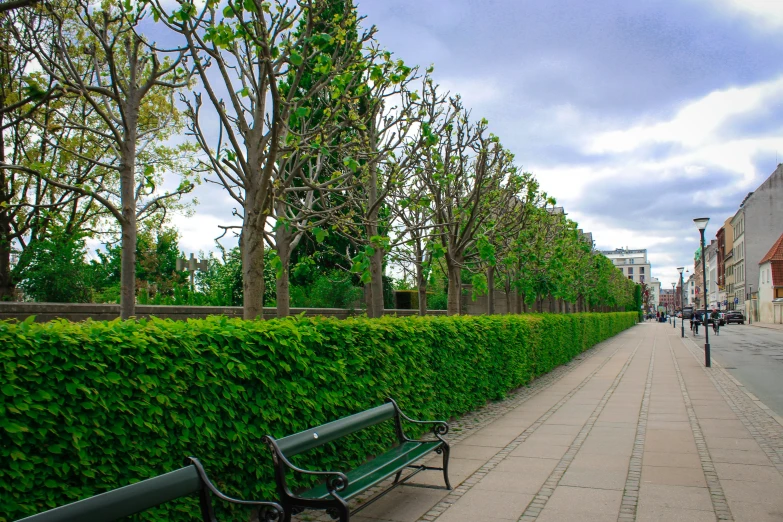 an empty green bench sitting by a hedge