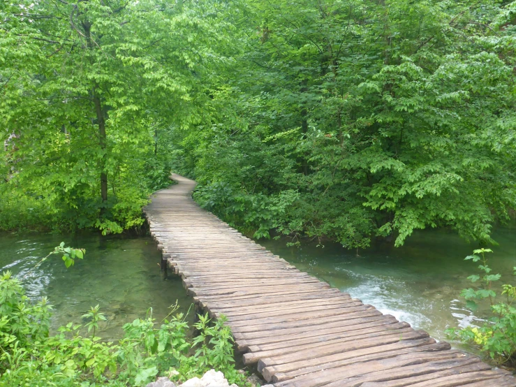 wooden bridge crossing over water surrounded by trees