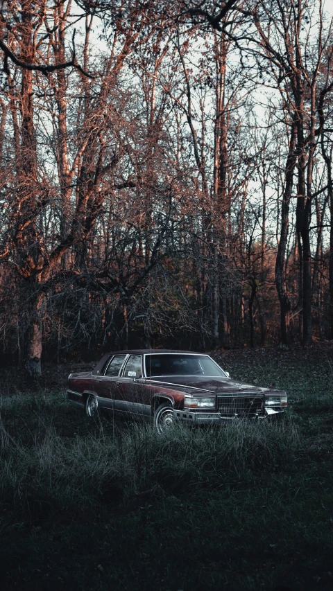 an old car in a field with tall trees around it