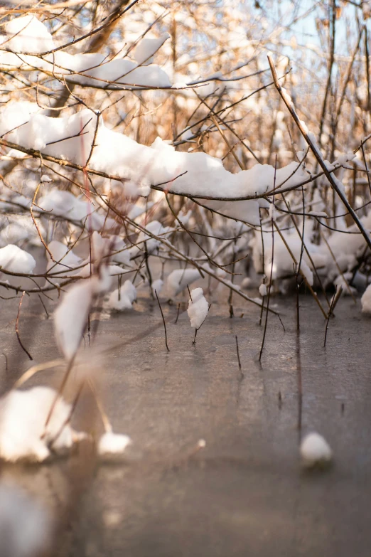 a close up view of some snow on the ground