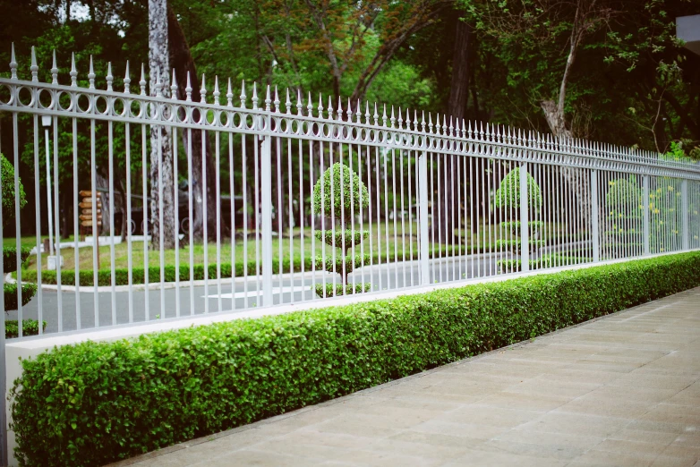 a white fence next to a hedge on a street