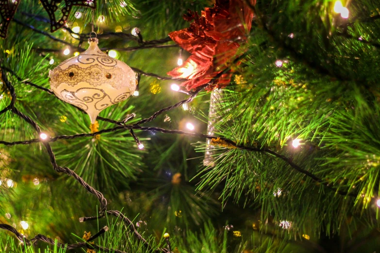 a christmas ornament is hanging on the tree