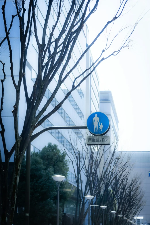 a large blue sign that says walk way on it