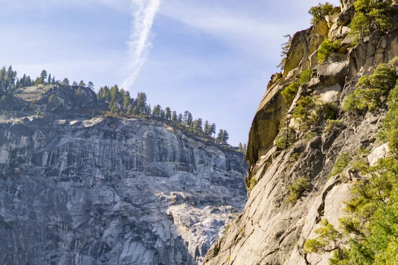 a cliff side with some trees growing up it