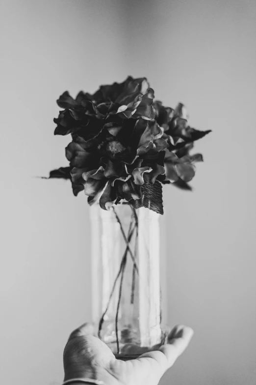 hand holding vase filled with water and plants