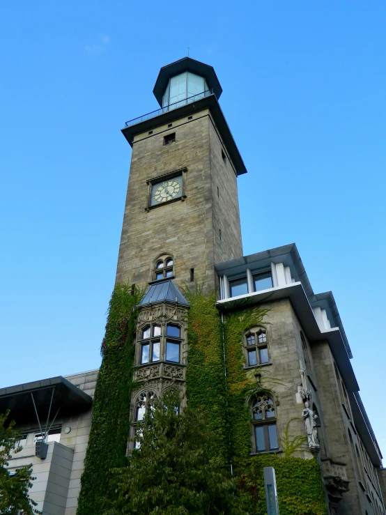 the top of an old building has vines growing up the side