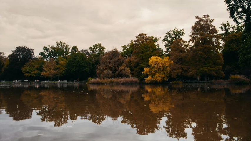 the calm lake is reflecting its surrounding foliage