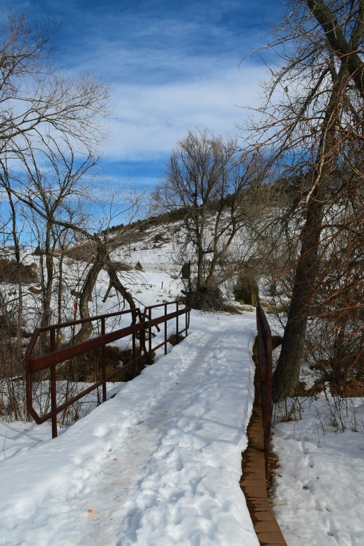 a path covered in snow leading to a small wooden bridge