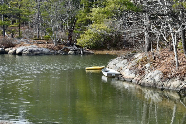 small boat sitting in still water next to trees