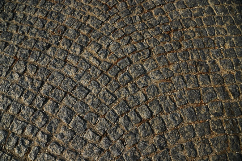 an elephant skin textured with brown color and small circular patterns
