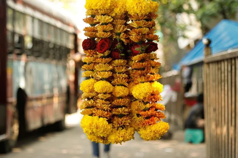 yellow flowers hanging up to dry from the sun