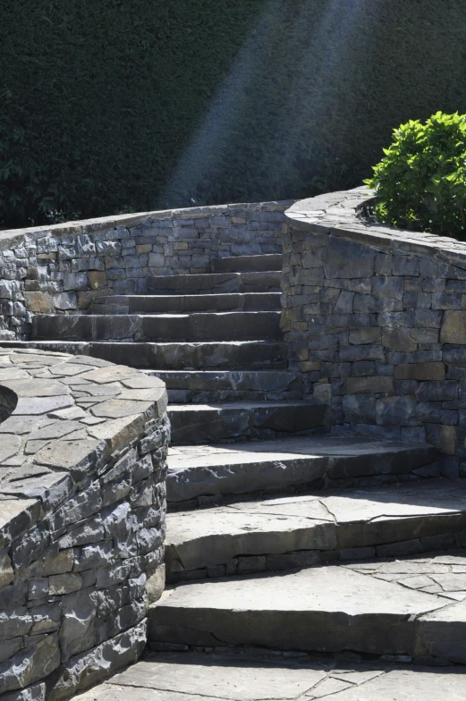 stairs leading up to a lush green hedge