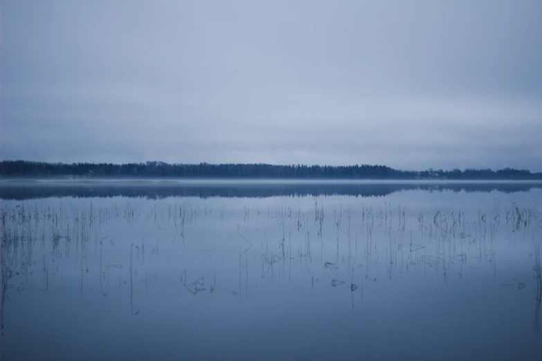 a still body of water and trees on the other side of it