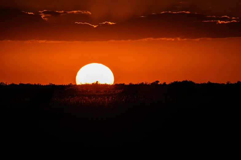 the sun set behind the silhouette of a field