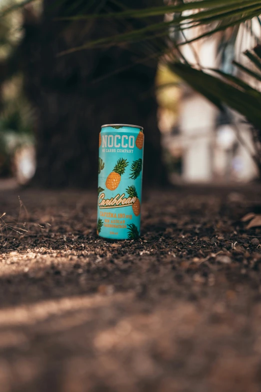 a can is sitting in the dirt with a pineapple