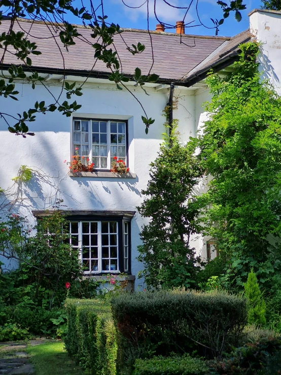 a house with a bunch of windows that has flowers growing in the window